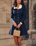 Contrast Collar Button Front Princess Seam A-Line Mini Dress