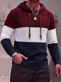 Color Block Textured Knit Hooded Pullover Sweater
